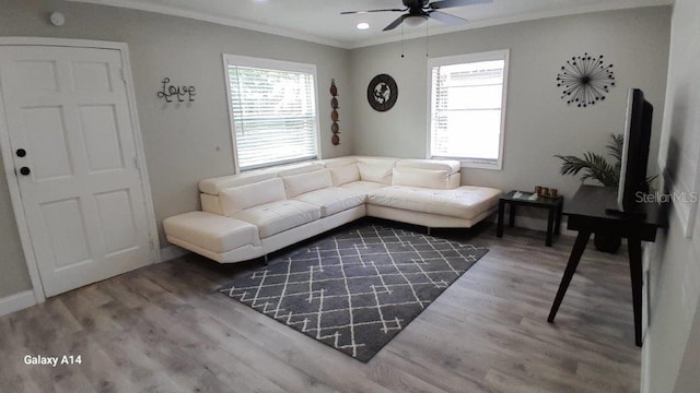 living room with ceiling fan, crown molding, and wood-type flooring