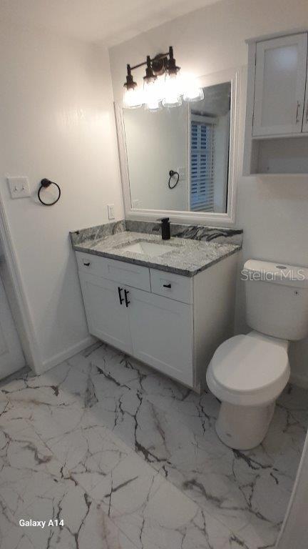 bathroom with toilet and vanity