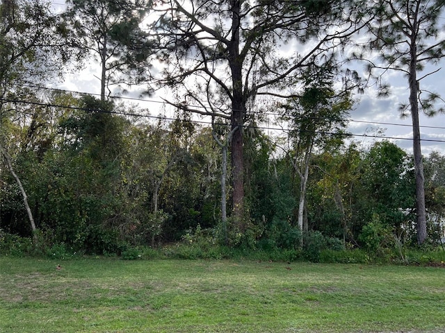 Address Not Disclosed, Richey FL, 34654 land for sale