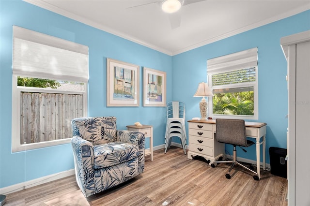 office area featuring ceiling fan, ornamental molding, and light hardwood / wood-style flooring