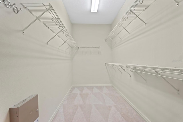 spacious closet featuring light colored carpet