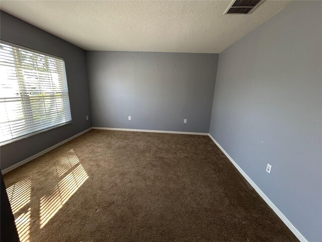 spare room with carpet and a textured ceiling