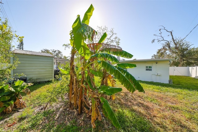 3207 Acacia St, Lutz, FL 33558 - view of yard