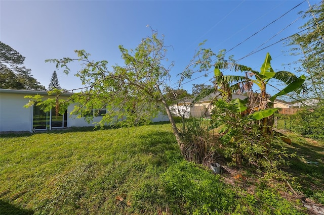 3207 Acacia St, Lutz, FL 33558 - view of green lawn