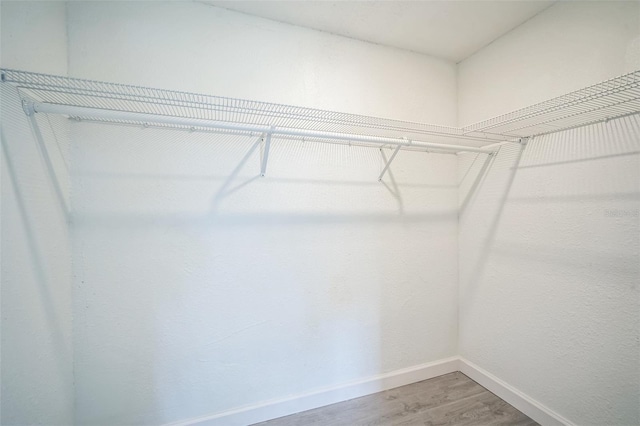 walk in closet featuring wood-type flooring