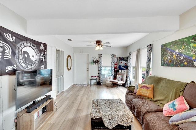 living room with ceiling fan and light wood-type flooring