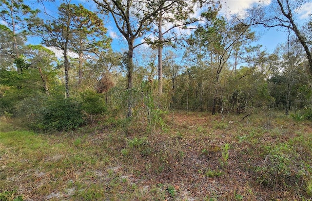 Listing photo 3 for TBD SE 116th Ln, Dunnellon FL 34431