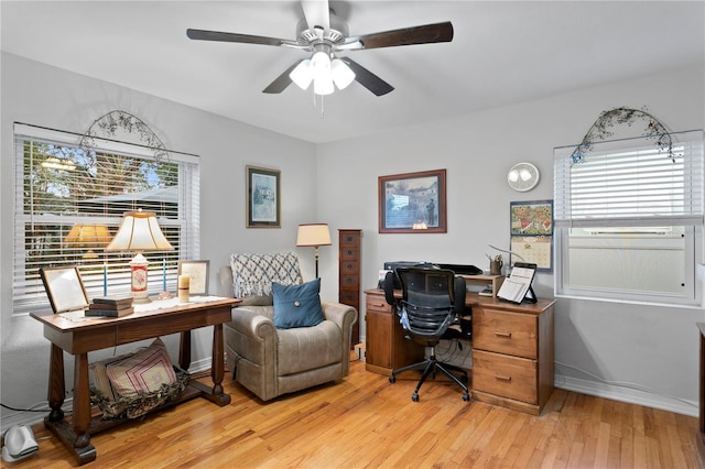 office space featuring ceiling fan and light hardwood / wood-style flooring