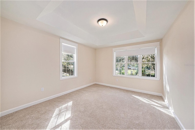 carpeted empty room featuring a tray ceiling and a wealth of natural light