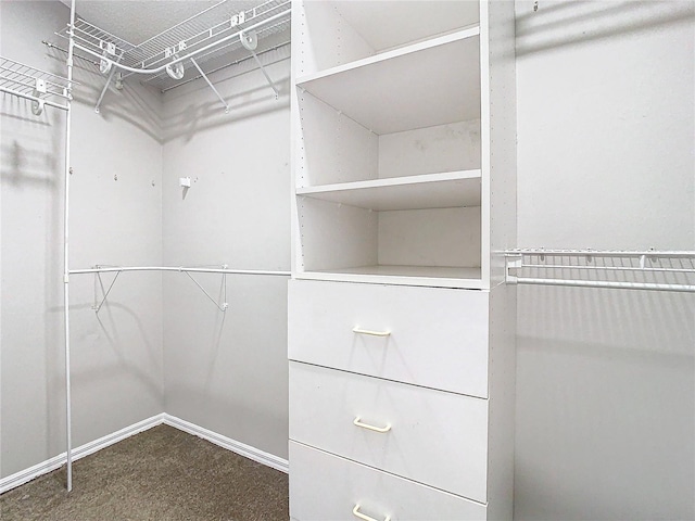 walk in closet featuring carpet flooring