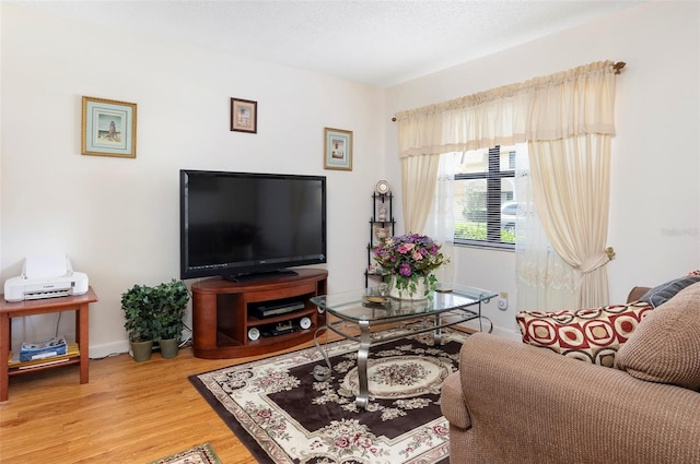 living room with hardwood / wood-style flooring