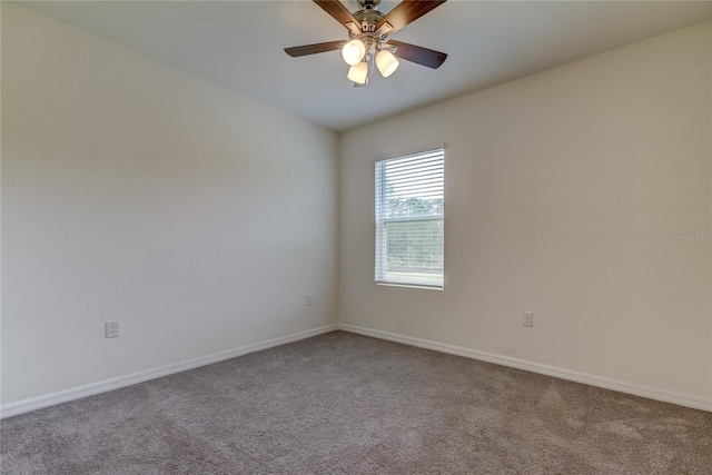 33351 Apricot Tree Ct, Wesley Chapel, FL 33543 - spare room with carpet flooring and a ceiling fan