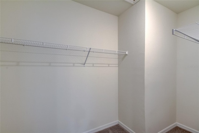 33351 Apricot Tree Ct, Wesley Chapel, FL 33543 - walk in closet with dark carpet