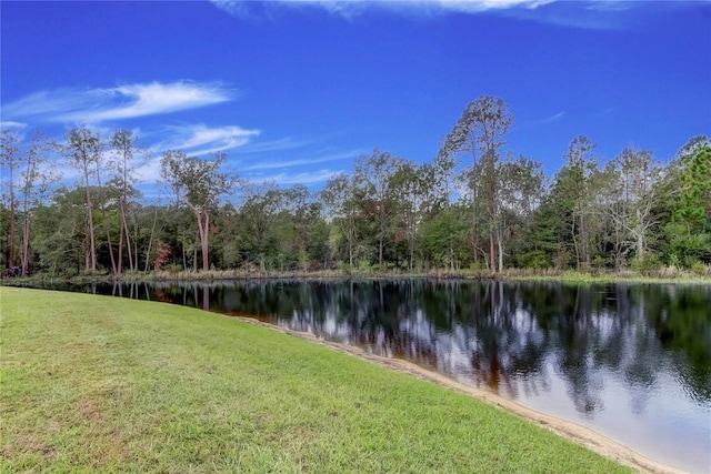 33351 Apricot Tree Ct, Wesley Chapel, FL 33543 - water view with a heavily wooded area
