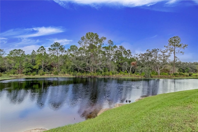 33351 Apricot Tree Ct, Wesley Chapel, FL 33543 - water view featuring a heavily wooded area