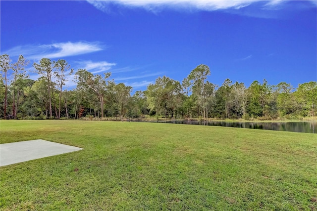 33351 Apricot Tree Ct, Wesley Chapel, FL 33543 - view of green lawn featuring a water view, a patio, and a wooded view