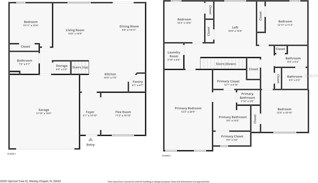 33351 Apricot Tree Ct, Wesley Chapel, FL 33543 - photo 6