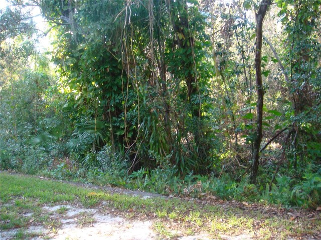 3161 Lake Pine Way S Unit B1, Tarpon Springs, FL 34688 - photo 26