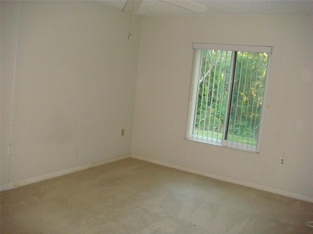 3161 Lake Pine Way S Unit B1, Tarpon Springs, FL 34688 - photo 36