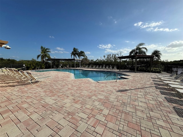 view of pool with a patio area