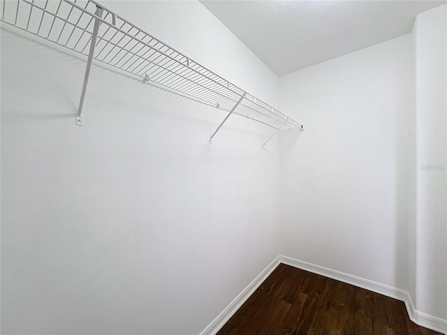 spacious closet featuring dark wood-type flooring