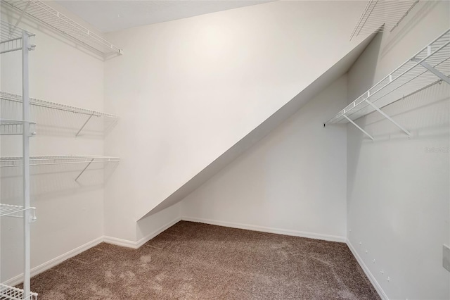 spacious closet featuring carpet flooring