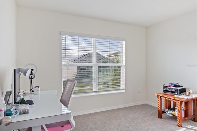 office space featuring a healthy amount of sunlight and carpet floors