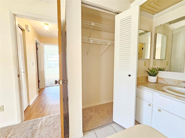 closet featuring a sink