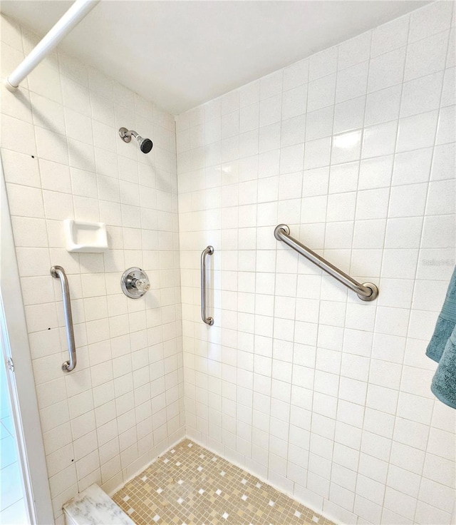 bathroom with a stall shower