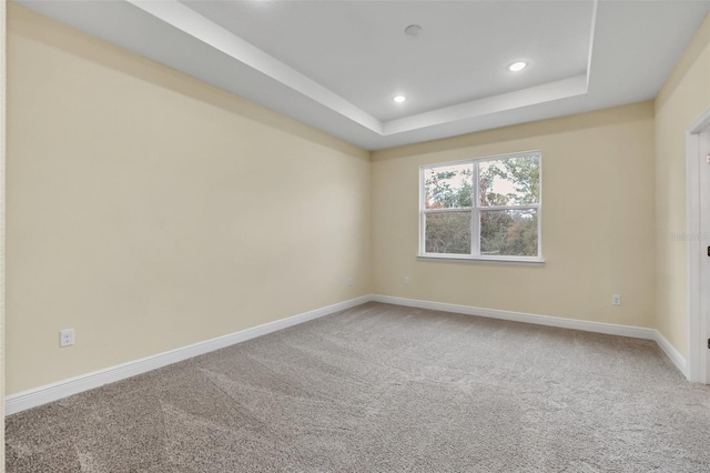 spare room with carpet flooring and a tray ceiling