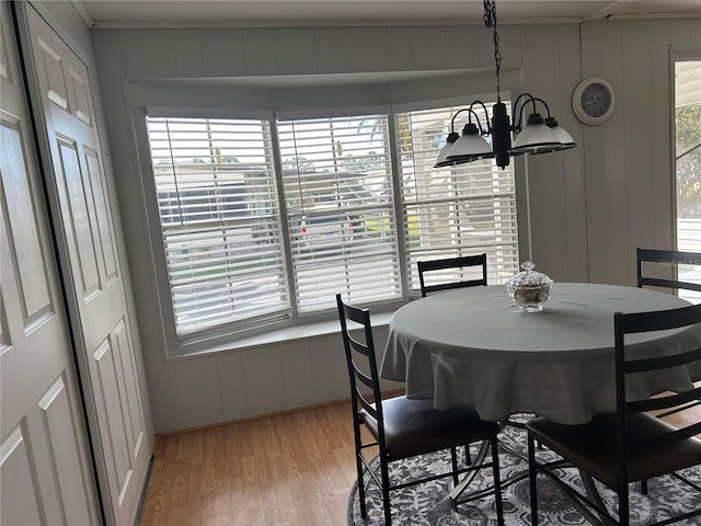 dining space featuring a healthy amount of sunlight, light hardwood / wood-style flooring, and a notable chandelier