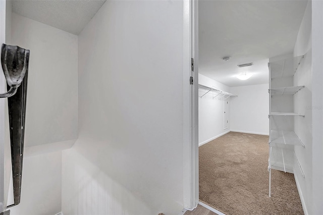 spacious closet with carpet floors