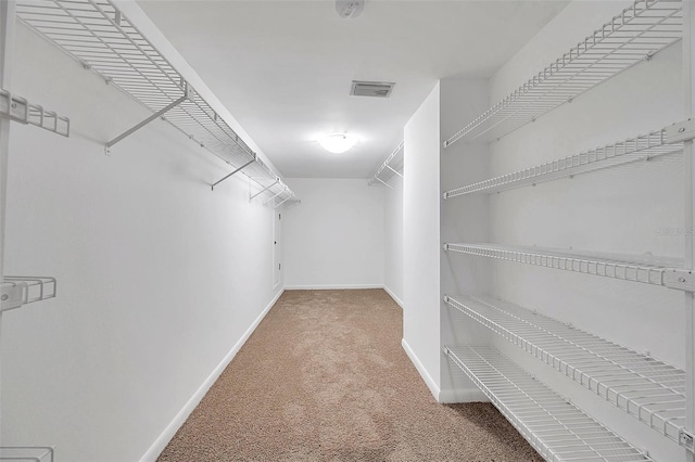 spacious closet with carpet flooring