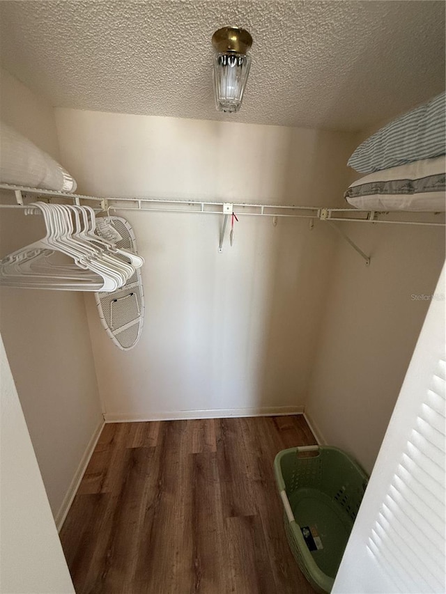 6268 Palma Del Mar Blvd S Unit 215, Saint Petersburg, FL 33715 - walk in closet featuring wood finished floors