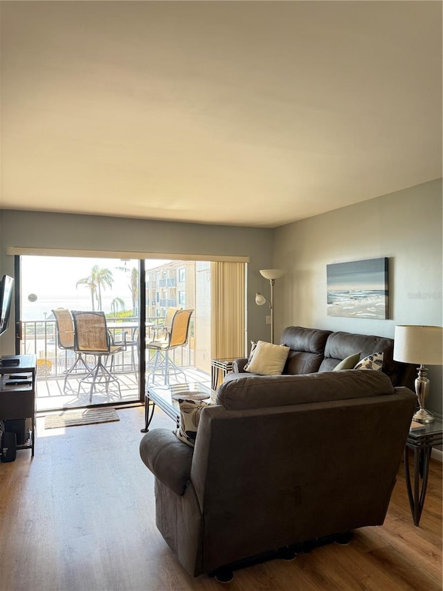 6268 Palma Del Mar Blvd S Unit 215, Saint Petersburg, FL 33715 - living room with wood finished floors and plenty of natural light