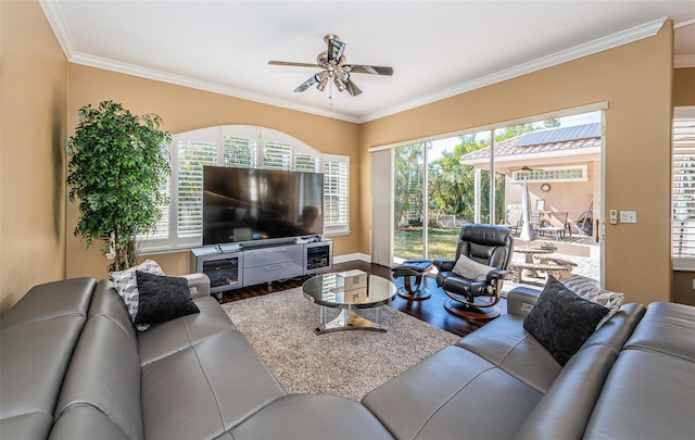 living room featuring hardwood / wood-style floors, ceiling fan, ornamental molding, and a wealth of natural light