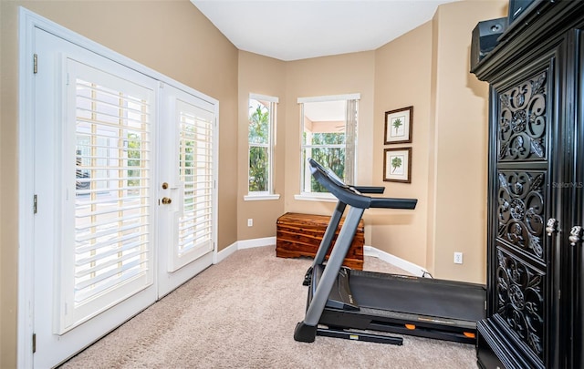 workout area featuring carpet