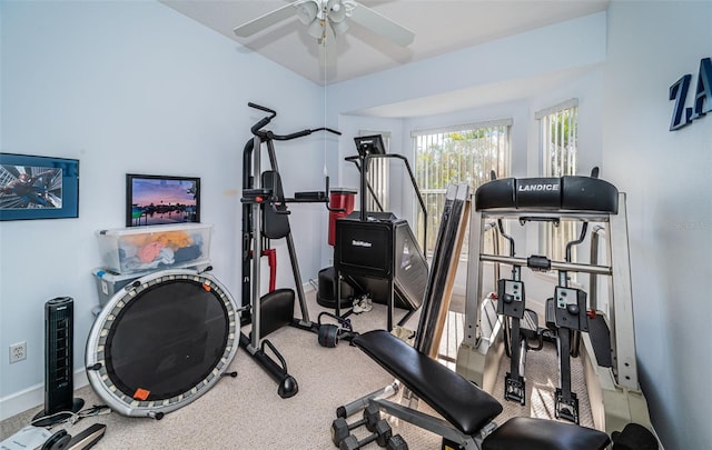 exercise area featuring carpet flooring and ceiling fan