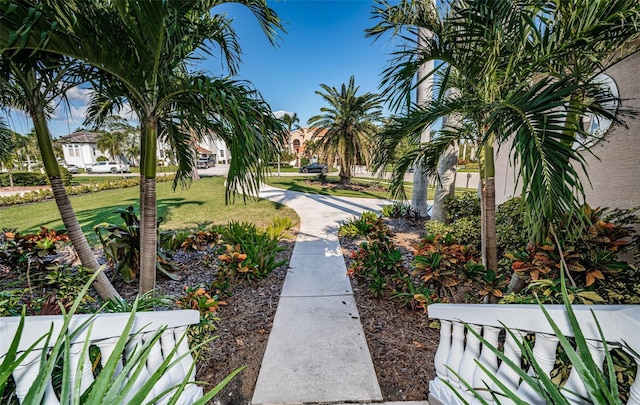 view of property's community featuring a lawn