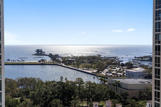 126 4th Ave NE Unit 1302, Saint Petersburg, FL 33701 - water view
