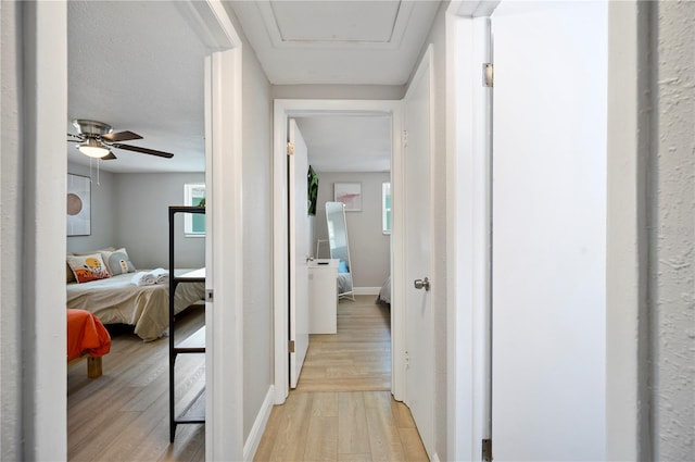 hallway featuring light wood-type flooring