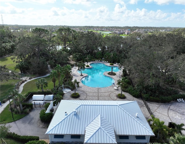 view of swimming pool featuring a patio area