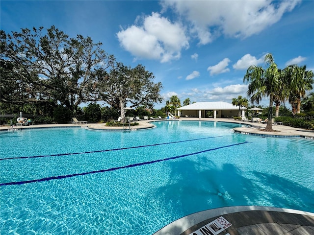 view of swimming pool