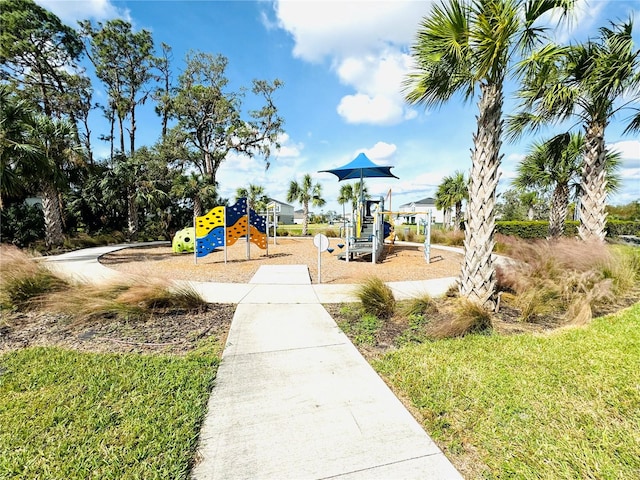 view of jungle gym