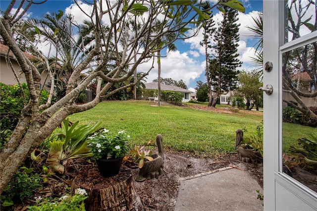 view of yard with a patio