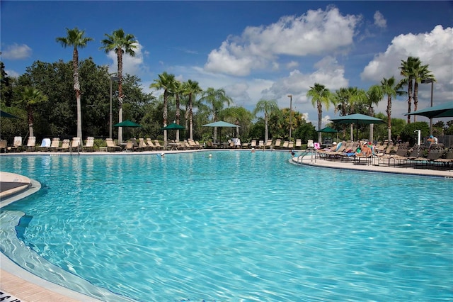 view of swimming pool