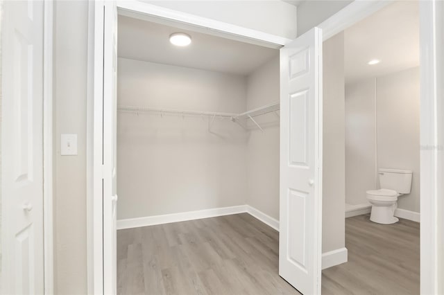 walk in closet featuring light hardwood / wood-style floors