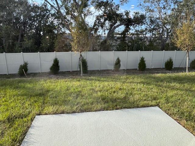 view of yard featuring a patio area