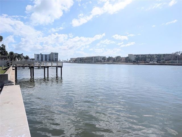 dock area with a water view