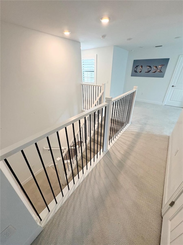 staircase featuring carpet floors